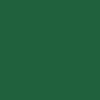 Farbe  RAL-6029 Minzgrün