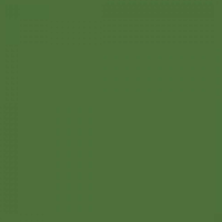 Farbe  RAL-6010 Grasgrün