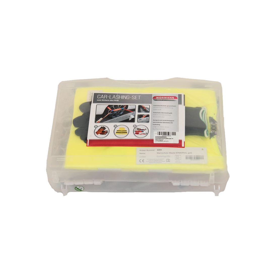 Ratschengurt Carlashing Koffer III